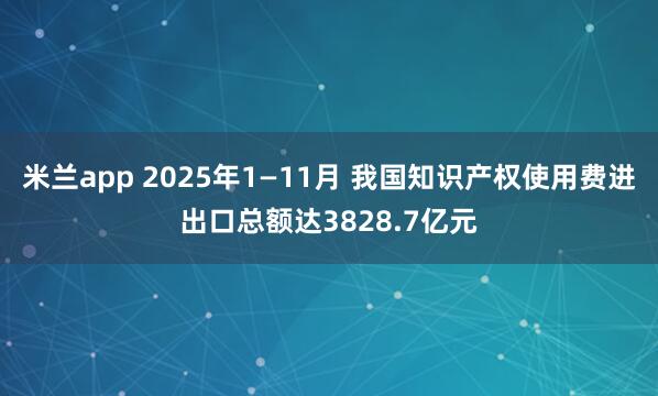 米兰app 2025年1—11月 我国知识产权使用费进出口总额达3828.7亿元