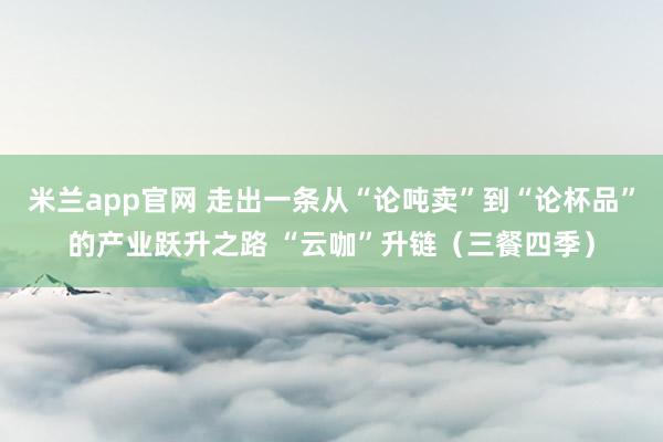 米兰app官网 走出一条从“论吨卖”到“论杯品”的产业跃升之路 “云咖”升链（三餐四季）