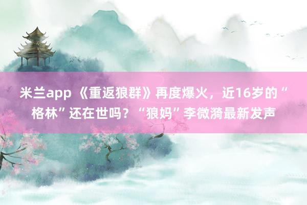米兰app 《重返狼群》再度爆火，近16岁的“格林”还在世吗？“狼妈”李微漪最新发声