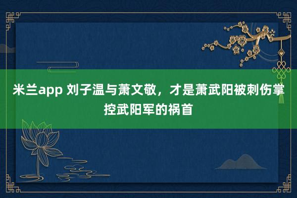 米兰app 刘子温与萧文敬，才是萧武阳被刺伤掌控武阳军的祸首