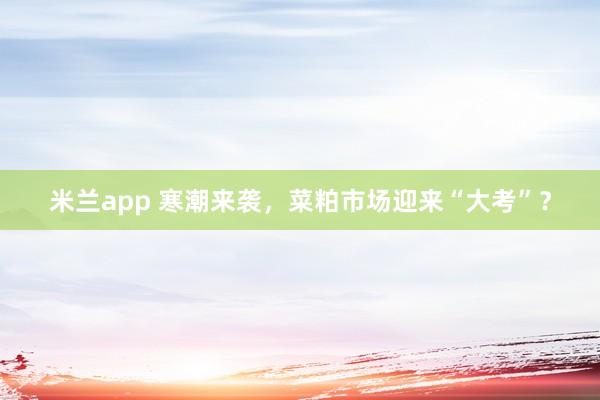 米兰app 寒潮来袭，菜粕市场迎来“大考”？