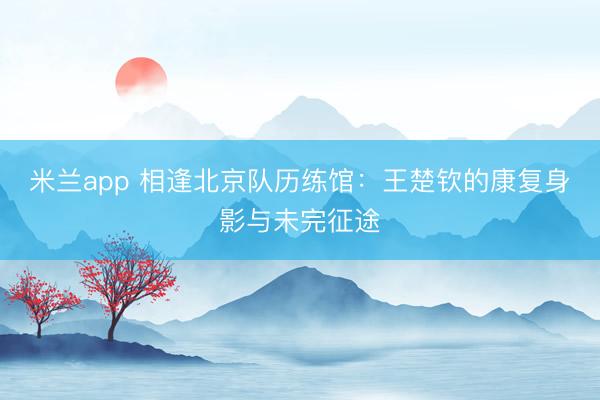 米兰app 相逢北京队历练馆:王楚钦的康复身影与未完征途